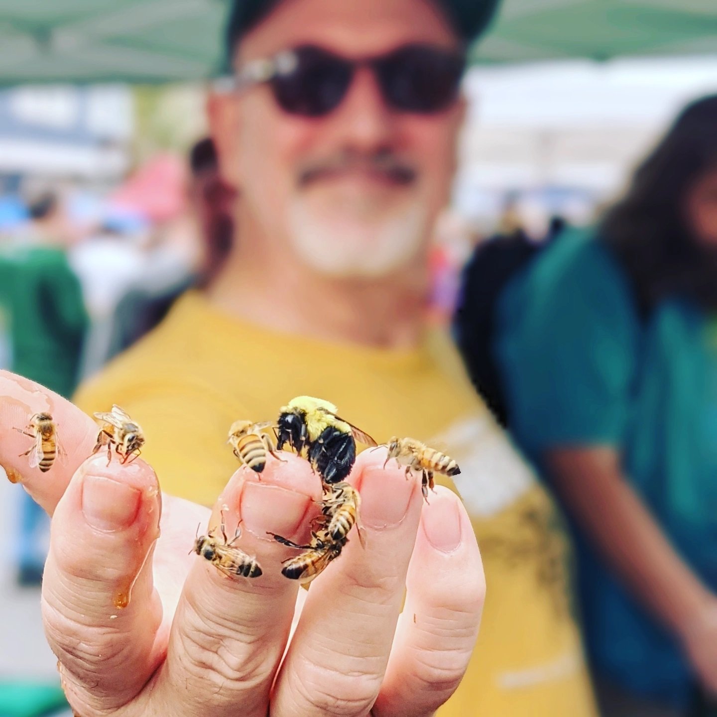 Bees in the hand are worth... a lot in terms of education. Here, SUNY Sullivan professor Art Riegar holds out some bees for the camera's perusal.